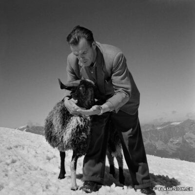 Hermann Geiger nourrissant un bélier, 1955 © Oscar Darbellay, Médiathèque Valais – Martigny