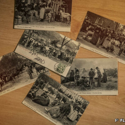 Un autre visage de la place de la Planta : la foire au bétail, cartes postales Jullien Frères, 1900-1920 © Pentamedia, Archives de la Ville de Sion