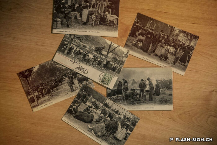 Un autre visage de la place de la Planta : la foire au bétail, cartes postales Jullien Frères, 1900-1920 © Pentamedia, Archives de la Ville de Sion