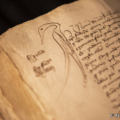 Lettrine animalière donnant corps aux actes du notaire lombard Ambrosius de Poldo, 1425 © Pentamedia, Archives du Chapitre de Sion, 2019