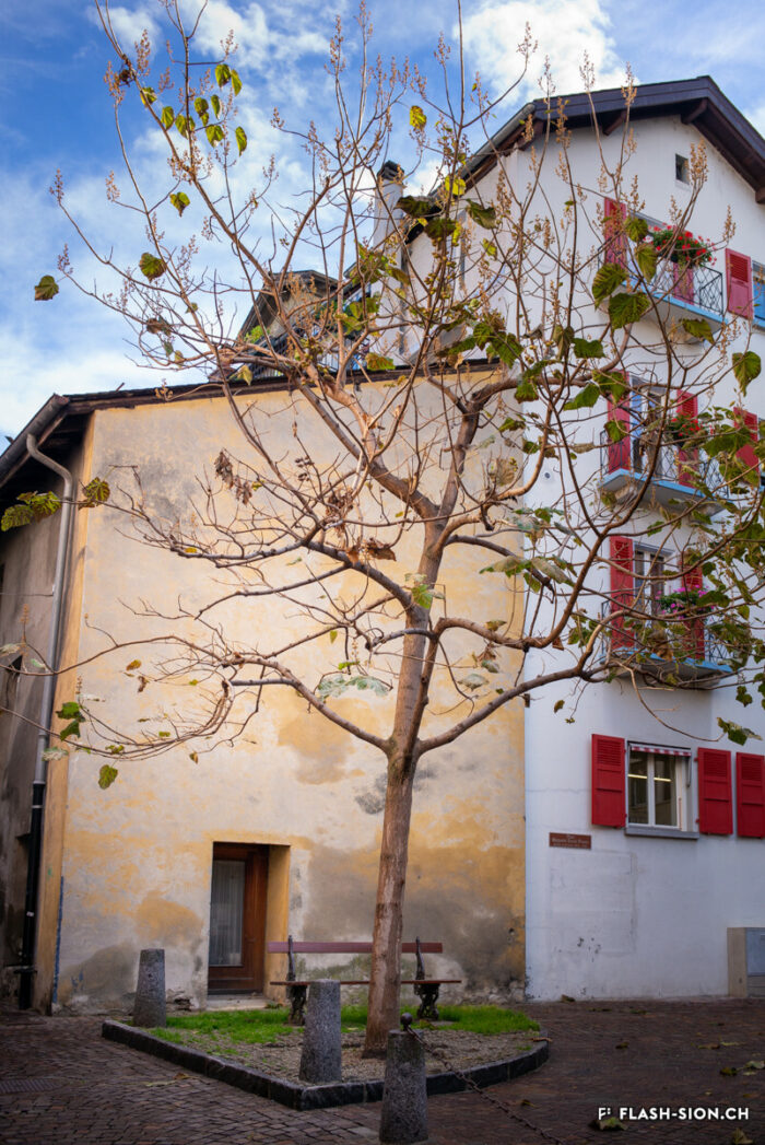 La place Marguerite Burnat-Provins, à l’emplacement de l’ancien bâtiment Garbaccia © Claude Coeudevez, Archives de la Ville de Sion, 2014