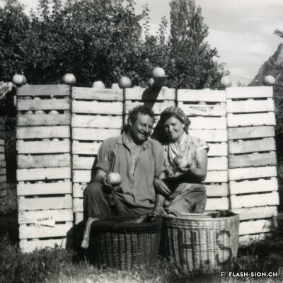 Récolte de pommes Canada dans un pré-verger à haute-tige à Bramois, vers 1950-1960, archives privées Famille Schupach