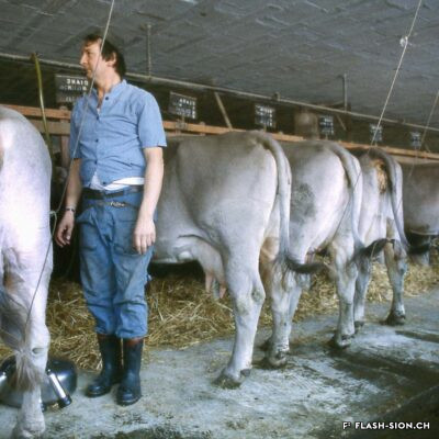 La ferme de l’Hôpital-Asile en exploitation, 1978 © Robert Hofer