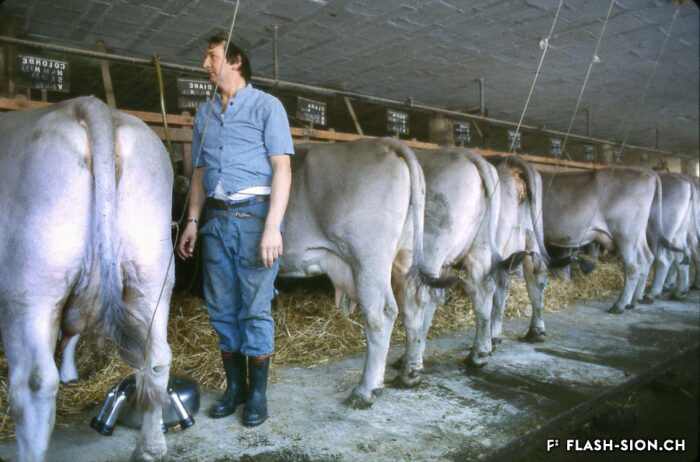 La ferme de l’Hôpital-Asile en exploitation, 1978 © Robert Hofer