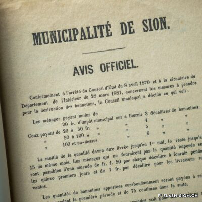 La prolifération d’hannetons ravagent régulièrement les jardins et vergers de Sion, avis officiel de la Municipalité de Sion, 1881, Archives de la Ville de Sion