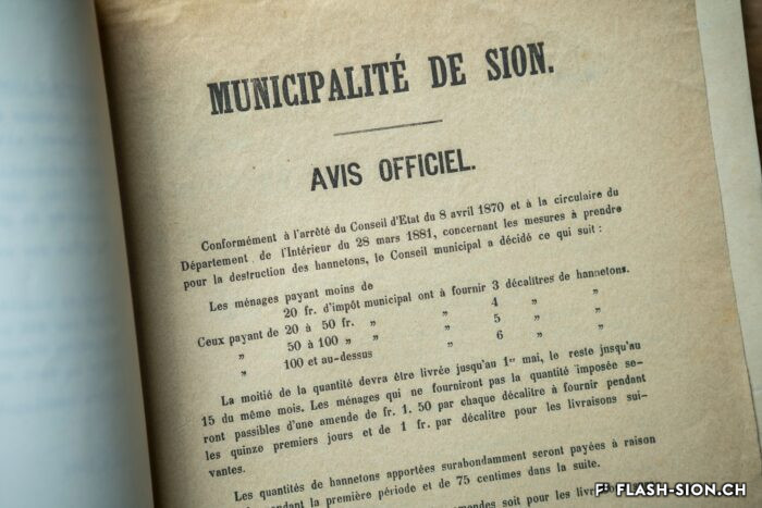 La prolifération d’hannetons ravagent régulièrement les jardins et vergers de Sion, avis officiel de la Municipalité de Sion, 1881, Archives de la Ville de Sion