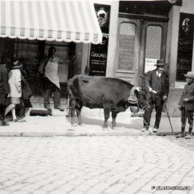 Une vache de la race d’Hérens devant la boucherie Lamon à la rue de Lausanne, 1925, provenance Fernand Lamon, reproduction Archives de la Ville de Sion
