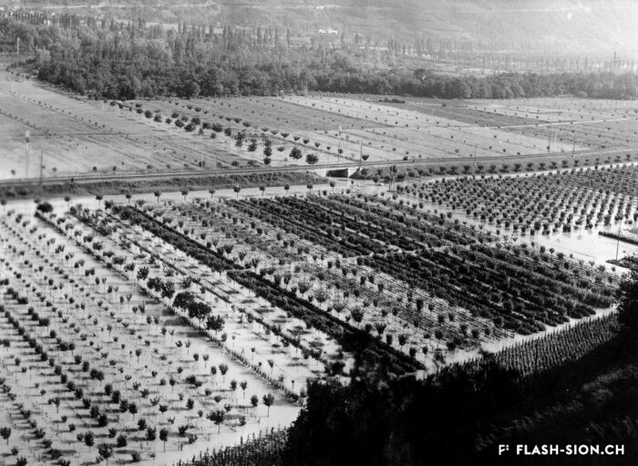 Grande crue du Rhône causant des dégâts importants aux vergers de la plaine du Rhône, Domaine de Châteauneuf, 1935, Archives de la Ville de Sion