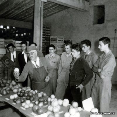 Cours de pomologie à l’Ecole d’agriculture de Châteauneuf, vers 1950-1960, Archives de la Ville de Sion