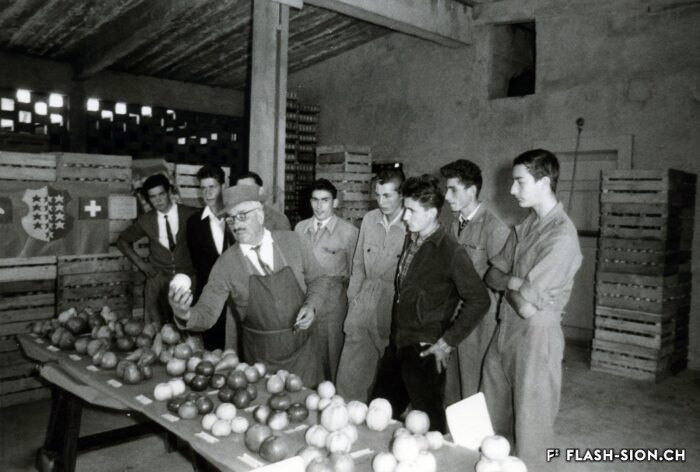 Cours de pomologie à l’Ecole d’agriculture de Châteauneuf, vers 1950-1960, Archives de la Ville de Sion